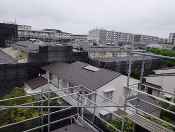 秋葉マルサダ